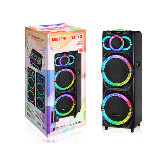 100W高功率NDR-2270雙12吋廣場舞便攜木箱